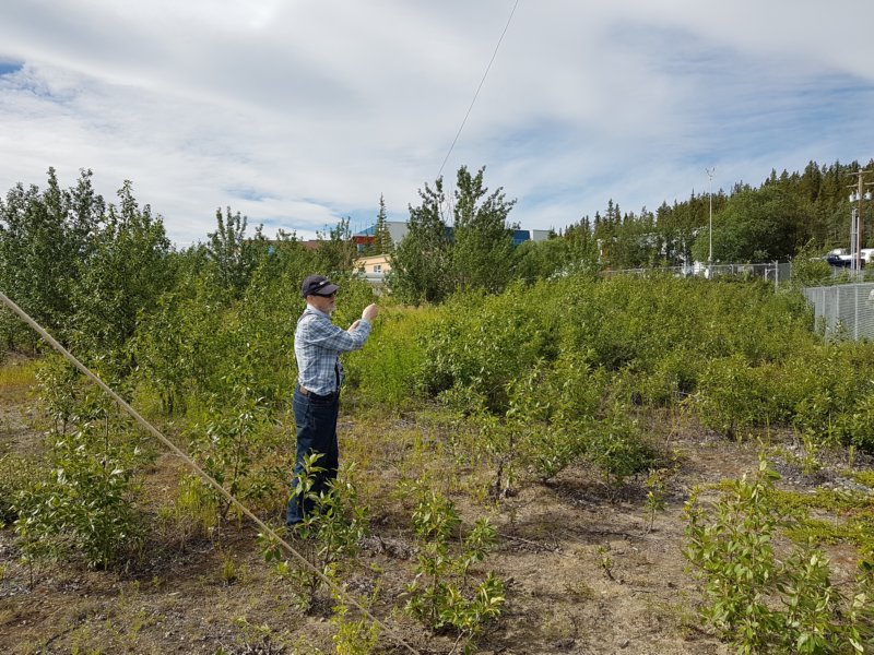 fielddayactivities10.jpg