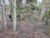 vy1rssphotocreditvy1gp4_small.jpg