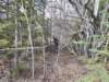 vy1rssphotocreditvy1gp_small.jpg