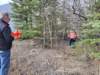 vy1swandvy1dyphotocreditvy1gp2_small.jpg